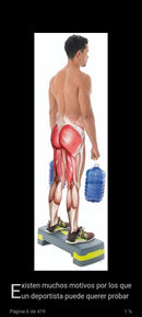 Anatomía y Musculación Sin Aparatos.