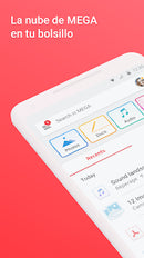 Suscripción de MEGA PRO LITE por un mes.