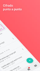 Suscripción de MEGA PRO II por un mes.