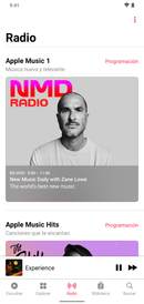 Ficha de 30 dias Apple Music (plan familiar)