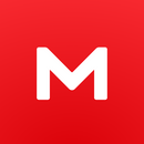 Suscripción de MEGA PRO LITE por un mes.