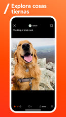 Suscripción a Reddit premium por 30 días